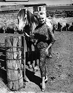 Sabrina at Toolern Valley 1959, with horse and sheep