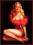 Pinups at nylon.net