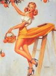 Pinups at nylon.net