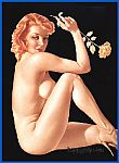 Pinups at nylon.net