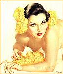 Pinups at nylon.net