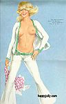 Pinups at nylon.net