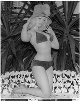  coronado08.jpg