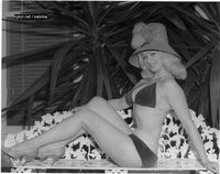  coronado10.jpg