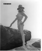  coronado36.jpg