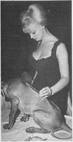 Sabrina - Norma Ann Sykes
