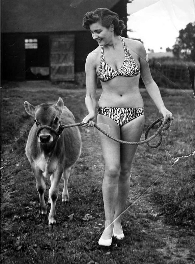 Margaret Rowe, Miss England 1955